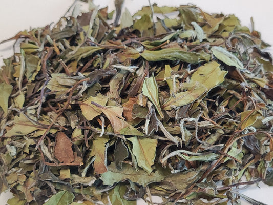 Bai Mu Dan White Tea